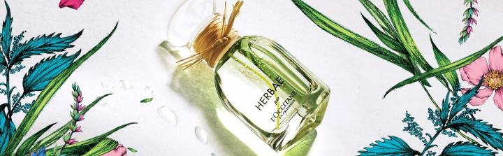 Trawy i zioła - najnowszy zapach Herbae marki LOccitane